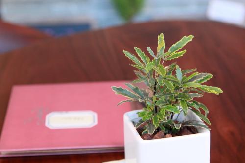 コンセプトNo.6のイメージ