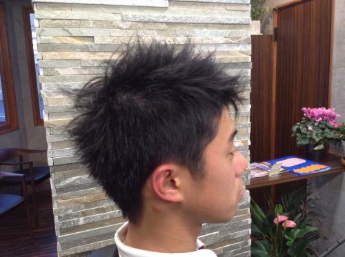 ギャラリーNo.26 カッコイイ中高生風紀検査対策ヘアD