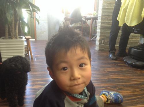 ギャラリーNo.45 おしゃれキッズヘアH