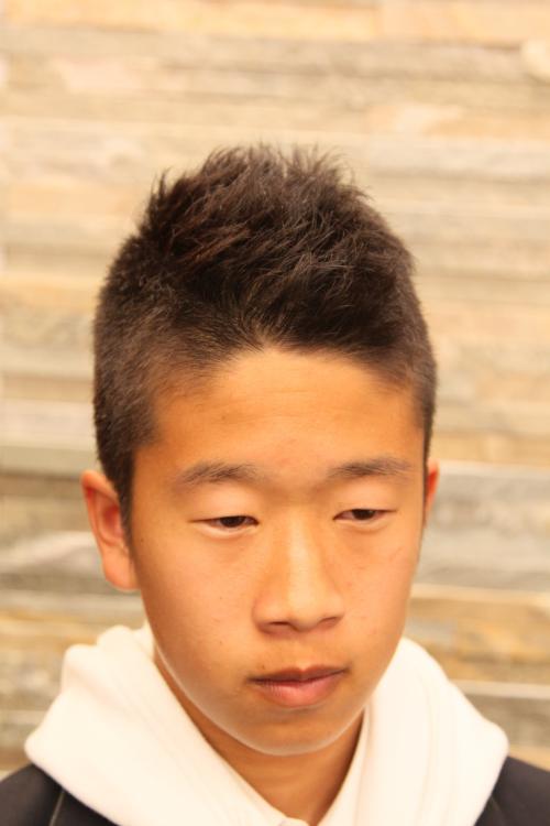 ギャラリーNo.46 メンズベリーショートヘアB